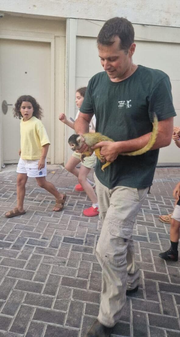 המטפל בנימין פיינסוד עם ג'ורג', קוף הסנאי שברח מגן החיות (צילום: באדיבות גן החיות התנ"כי) המטפל בנימין פיינסוד עם ג'ורג', קוף הסנאי שברח מגן החיות התנ"כי בירושלים