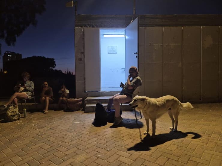 ממתינים סמוך למקלט בבאר שבע, כמובן עם הכלב