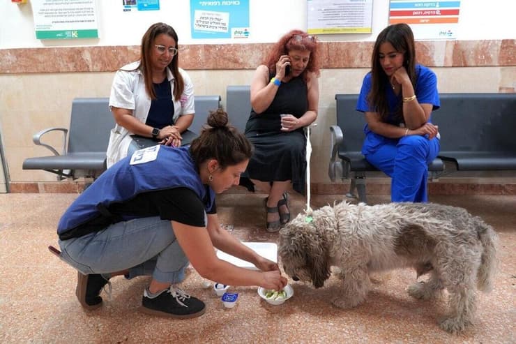 ברני מקבל ארוחה בבית החולים