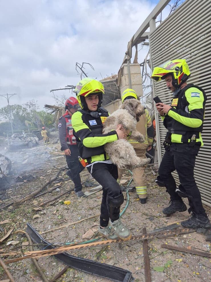 ברני מחולץ מהבית ההרוס