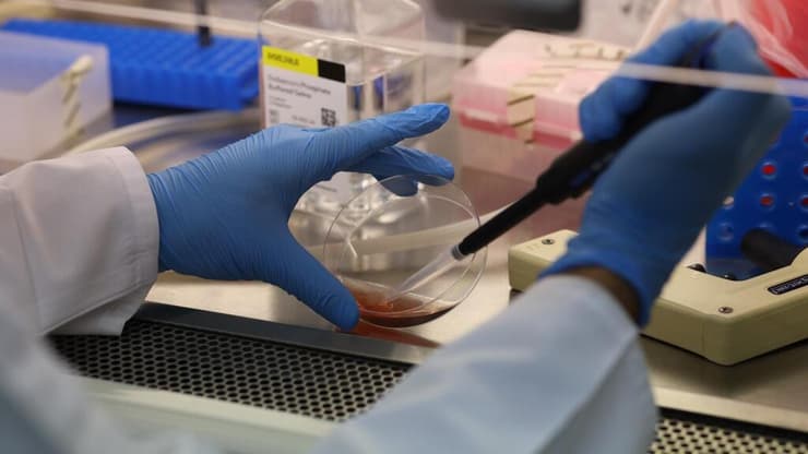 מעבדת בנק הדם בקריה הרפואית רמב"ם