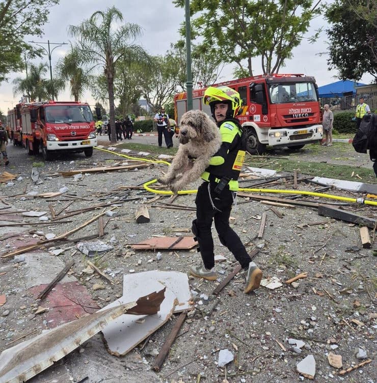 זירת הפגיעה בנס ציונה