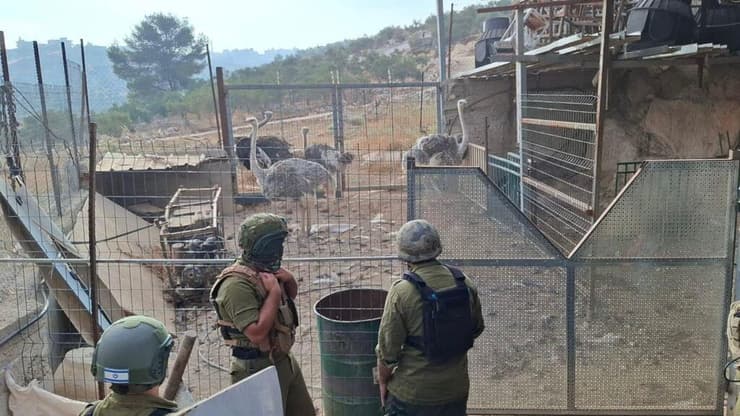 לוחמי צה"ל ליד כלוב עם יענים