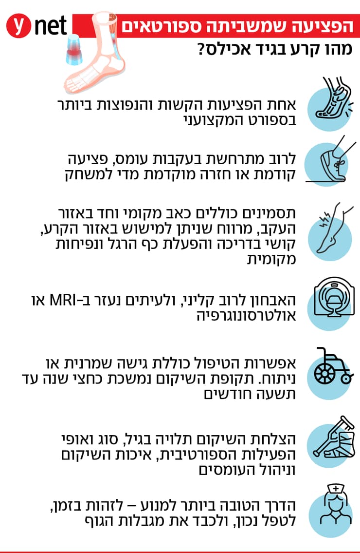 אינפו אינפו