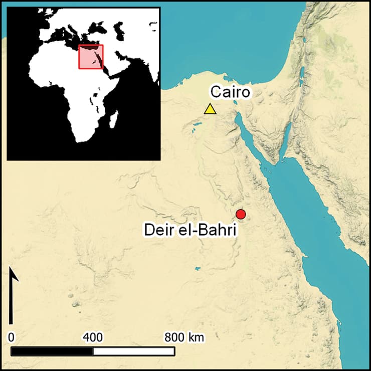 מיקום האתר דיר אל-בחרי, בו אותרו שברי הפסלים של חתשפסות (איור: מתוך כתב העת Antiquity) מיקום האתר דיר אל-בחרי, בו אותרו שברי הפסלים של חתשפסות