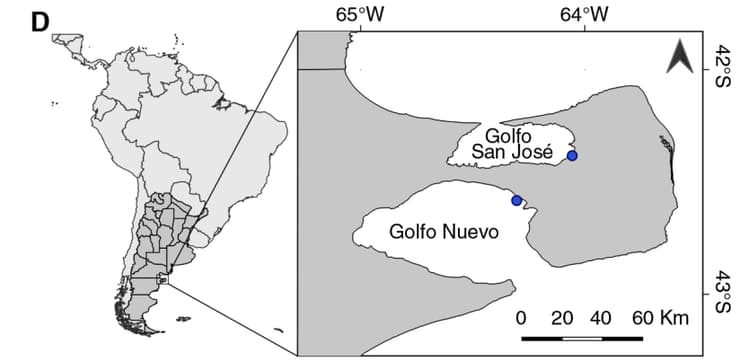 האזור שבו נערך המחקר    