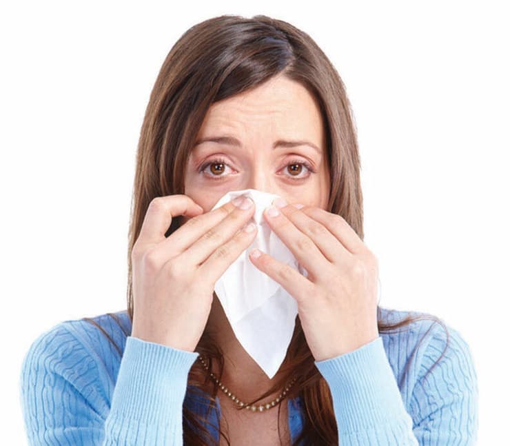 צילום: shutterstock, grinny