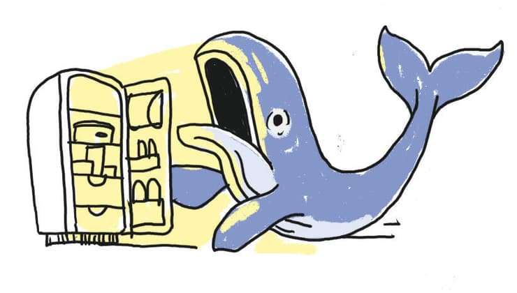 איור: דניאלה לונדון דקל