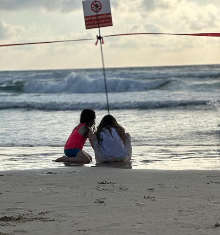 אייר ויולי לטוביצקי