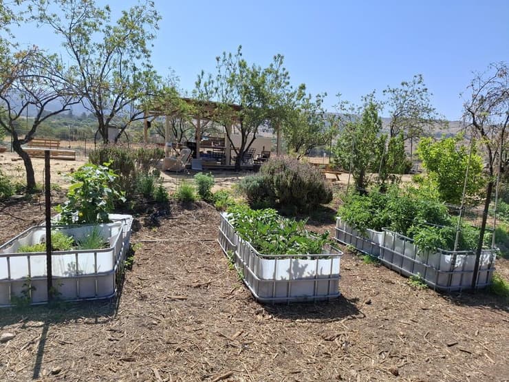 הגינה הקהילתית בקיבוץ שניר