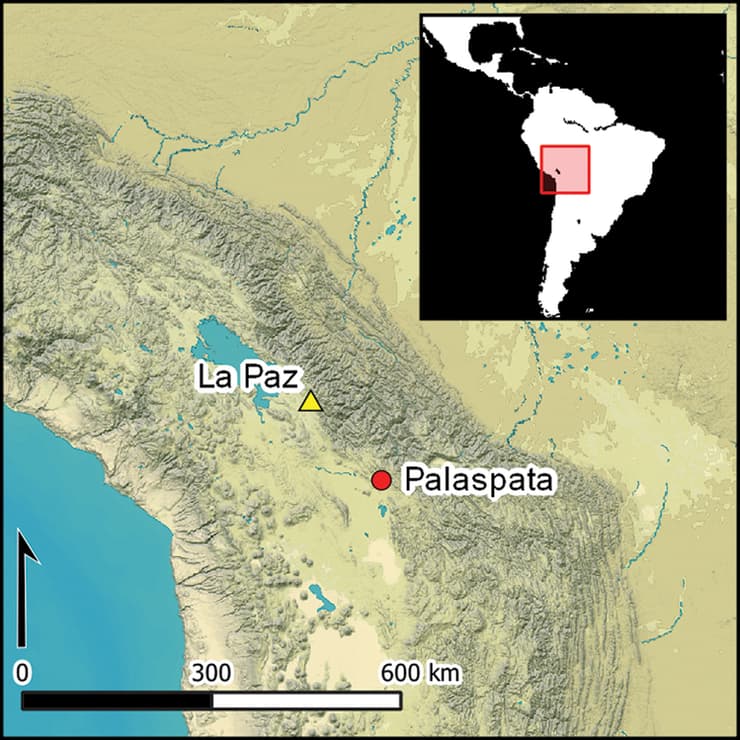 מיקום האתר בו התגלו שרידי המקדש של ציוויליזציית טיוואנאקו (איור: מתוך כתב העת Antiquity) מיקום האתר בו התגלו שרידי המקדש של ציוויליזציית טיוואנאקו