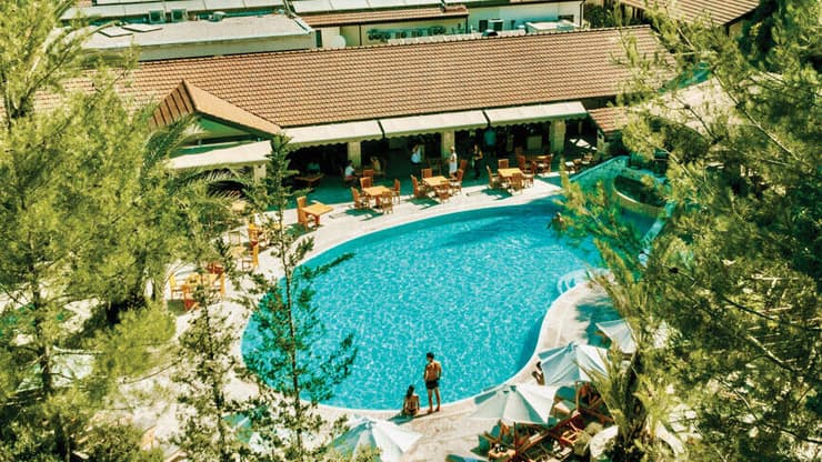 צילום: היער הסודי