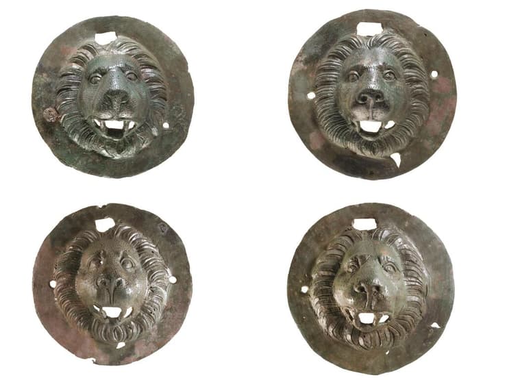 ארבעת ראשי האריות שנחשפו בחפירה (צילום: דפנה גזית, רשות העתיקות) ארבעת ראשי האריות שנחשפו בחפירה