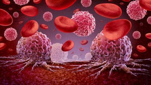 צילום: shutterstock צילום: shutterstock