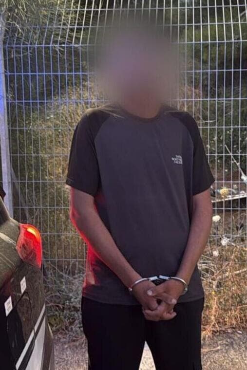 מוחמד עלי, החשוד ברצח בן דודו בטמרה