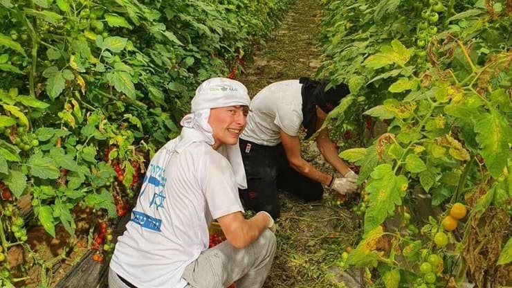  סמל ישראל נתן רוזנפלד ז"ל