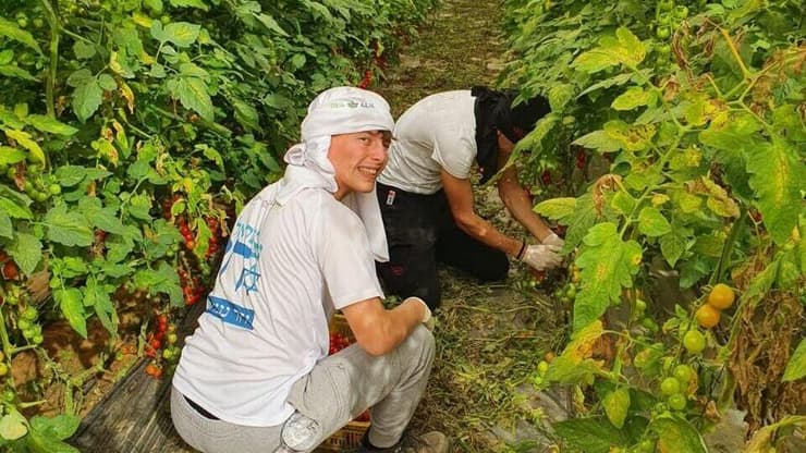  סמל ישראל נתן רוזנפלד ז"ל