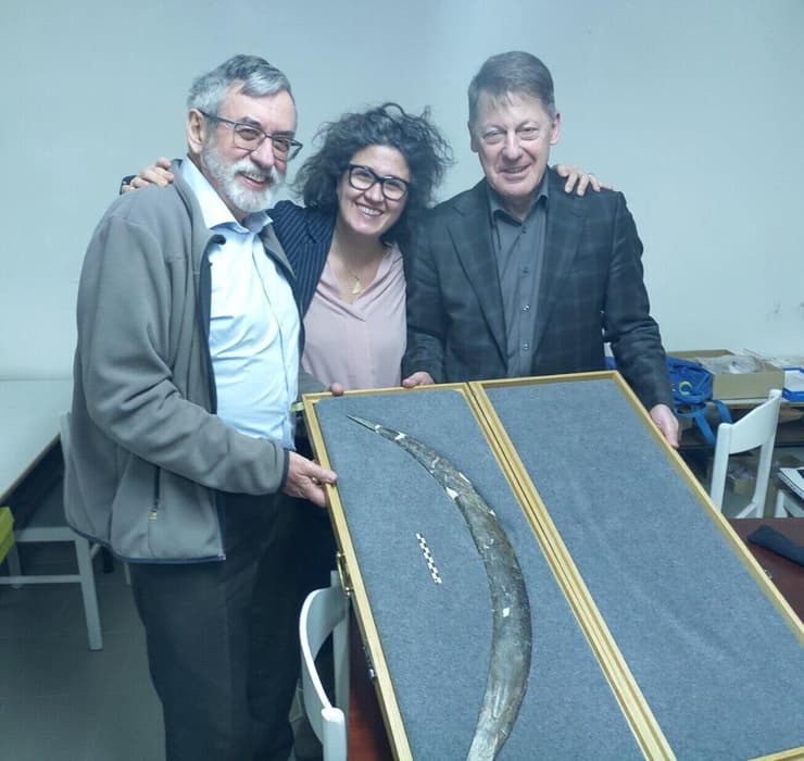 צוות המחקר מציג את הבומרנג שתוארך כבן 40 אלף שנים (צילום: Talamo et al, CC-BY 4.0) צוות המחקר מציג את הבומרנג שתוארך כבן 40 אלף שנים