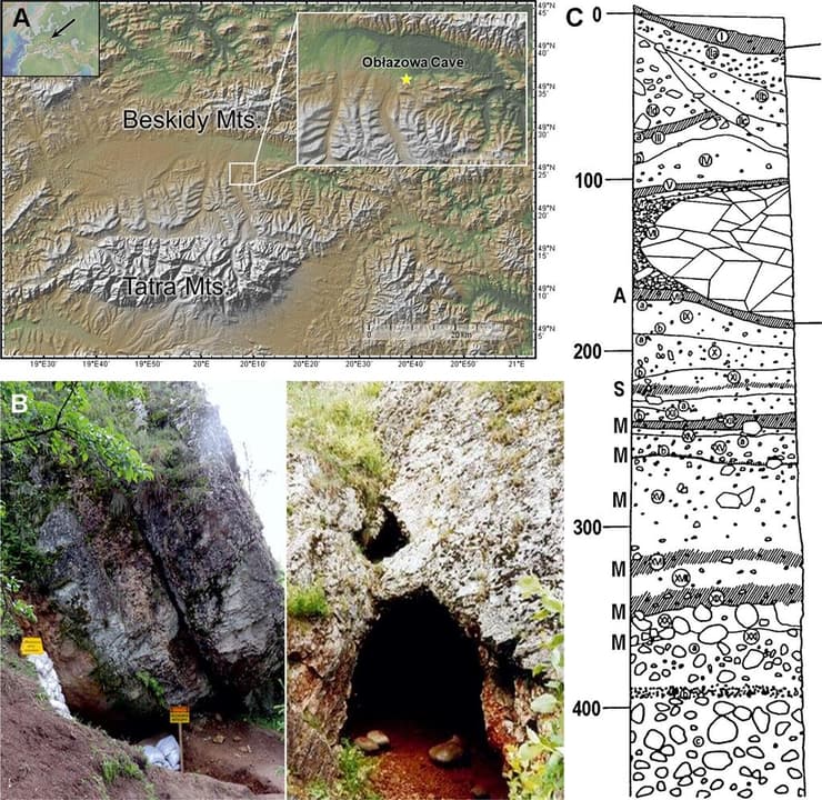 מערת אובלזובה בדרום פולין, מיקומה על המפה ושכבות המשקעים בהם התגלו הממצאים, לרבות הבומרנג שתוארך כבן 40 אלף שנים (צילום: Talamo et al., 2025, PLoS ONE, CC-BY 4.0) מערת אובלזובה בדרום פולין, מיקומה על המפה ושכבות המשקעים בהם התגלו הממצאים, לרבות הבומרנג שתוארך כבן 40 אלף שנים