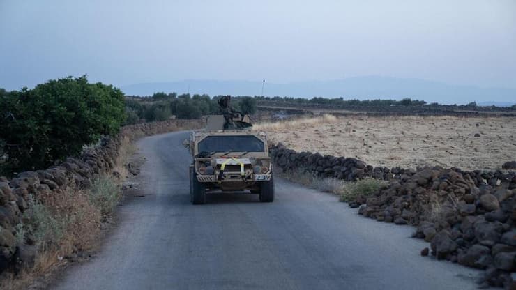 פעילות כוחות אוגדה 210 בדרום סוריה