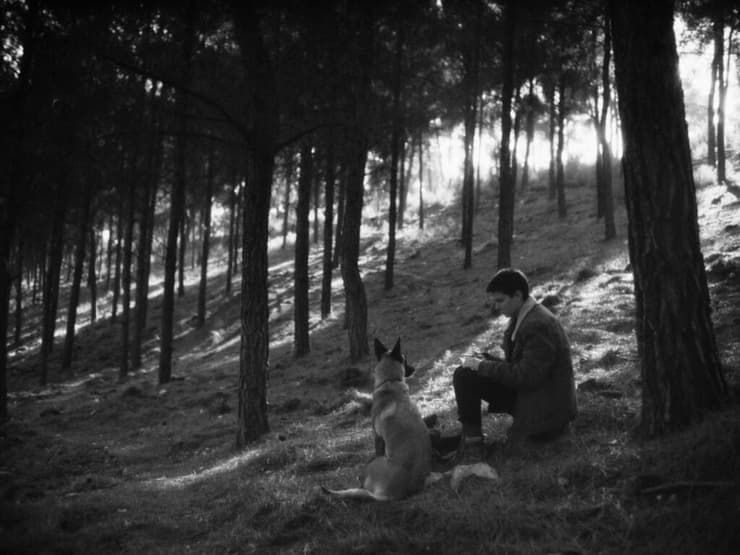 מתוך "בתים" (צילום: יניב לינטון) מתוך "בתים"