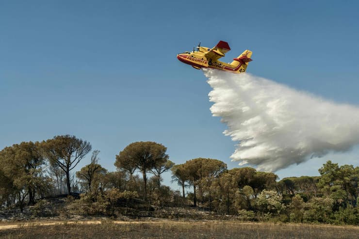 גל חום אירופה דרום צרפת שריפה