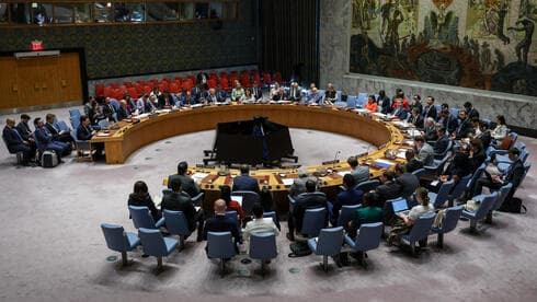 צילום: REUTERS/Kylie Cooper