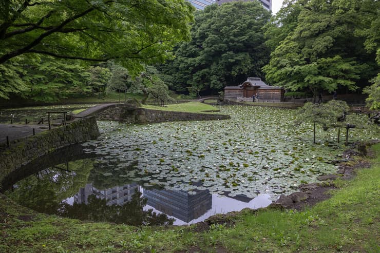 גן יפני קלאסי Koishikawa korakuen