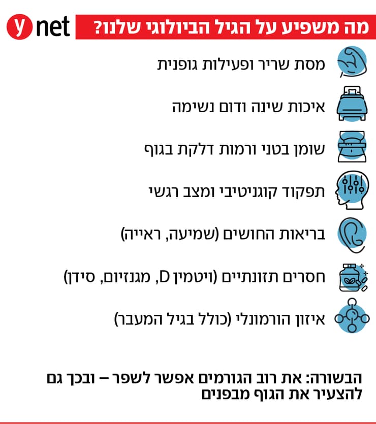 אינפו גיל ביולוגי מול גיל כרונולוגי