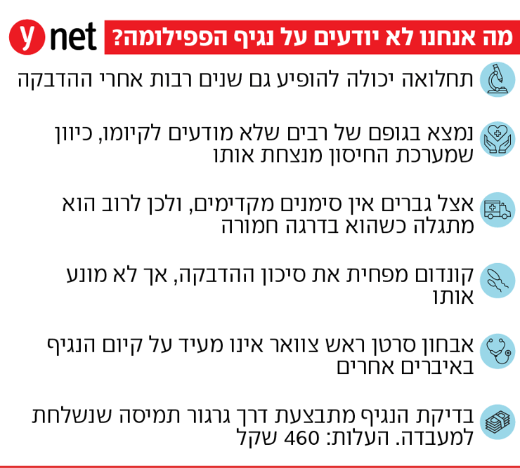 אינפו