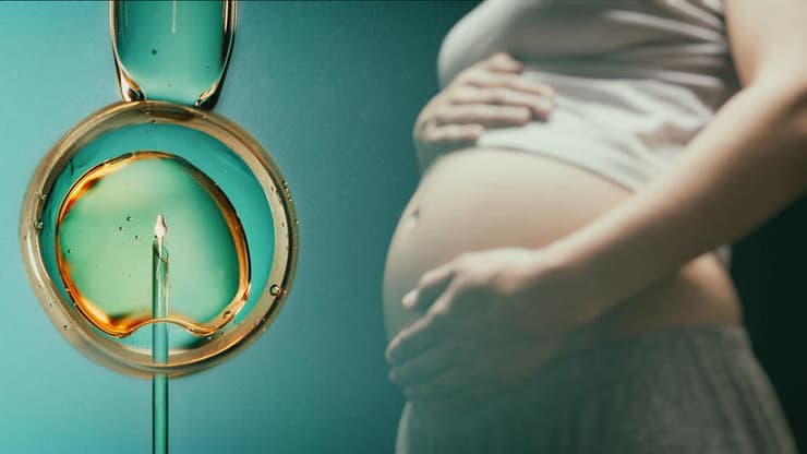 הפריה חוץ-גופית