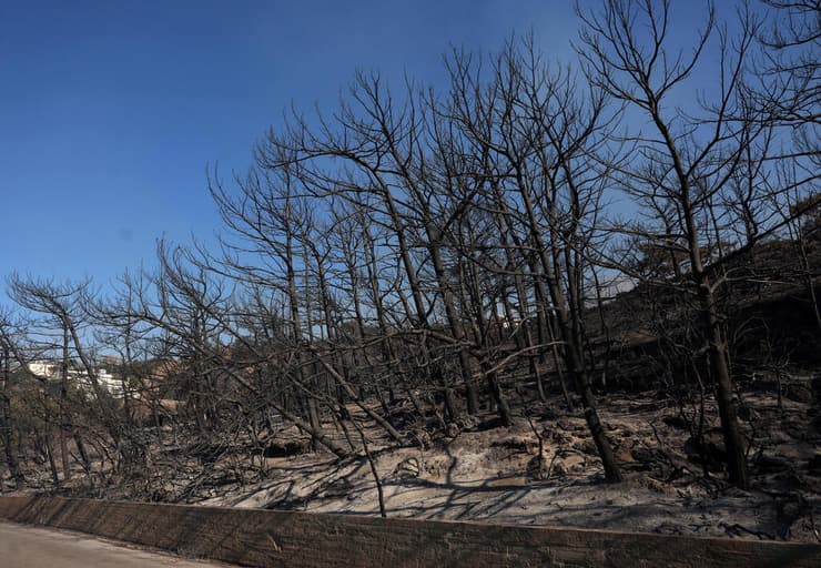 שריפה באי כרתים יוון
