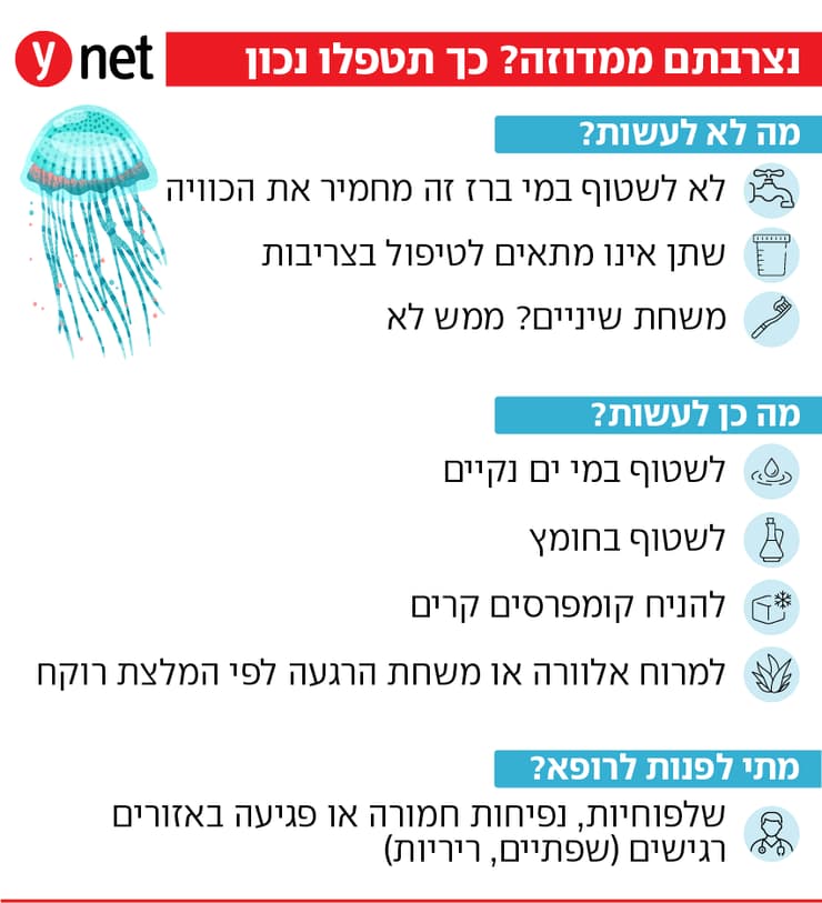 אינפו צריבת מדוזה אינפו צריבת מדוזה