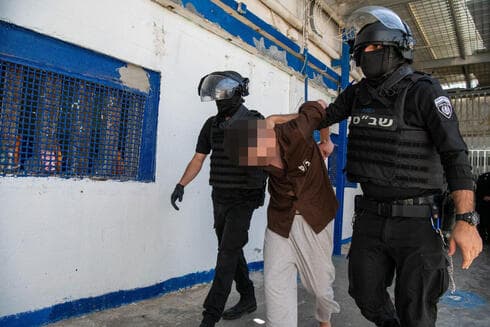 צילום: נחום סגל צילום: נחום סגל