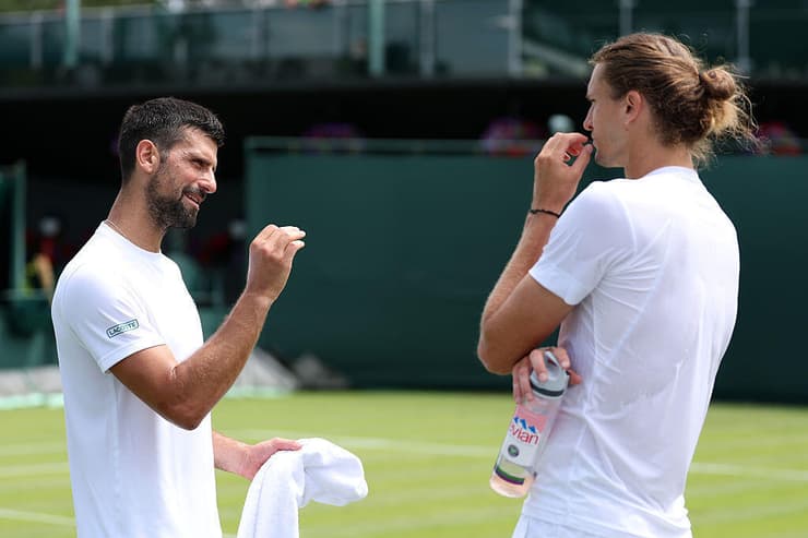זברב בשיחה עם ג'וקוביץ'. הדירוג משקר