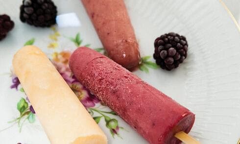 ארטיקים ביתיים