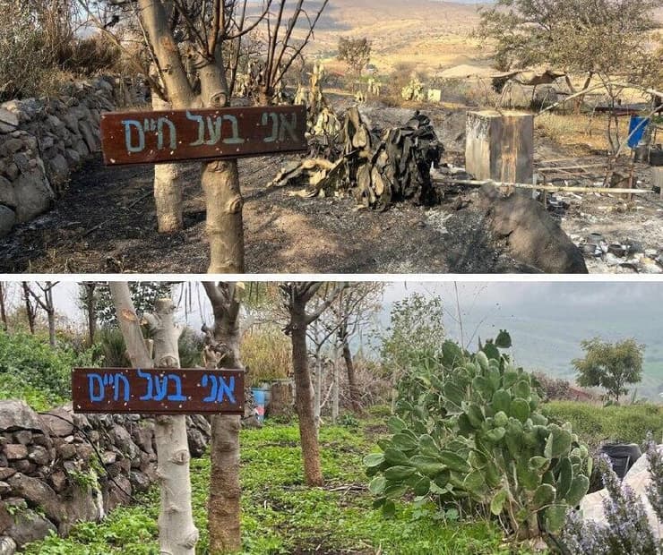 "מתקשים לקלוט שהכול נחרב". "גן החיים" לפני השריפה (למטה) ואחרי   