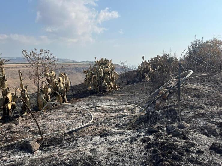 "כאן כדי לשקם לא רק את מה שהיה, אלא לבנות טוב יותר". החווה השרופה   