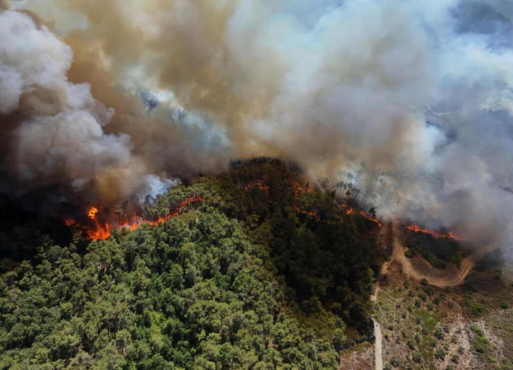 צילום: REUTERS/Karam al-Masri שריפה לטקיה סוריה