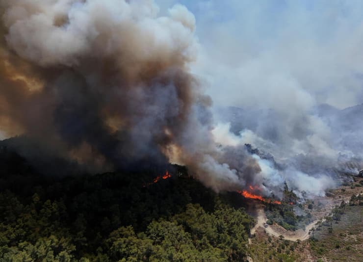 השריפה בלטקיה. "מאות אלפי עצים נשרפו" (צילום: REUTERS/Karam al-Masri) שריפה לטקיה סוריה
