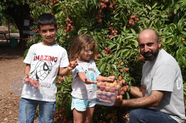 למרות המלחמה, הייצוא גדל