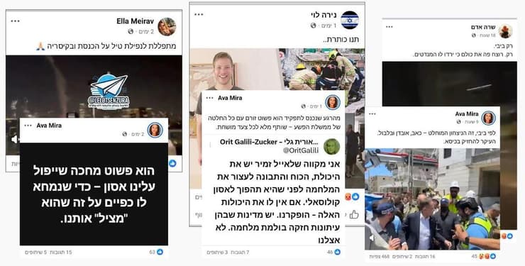 השפעת רשתות זרות ואיראניות 