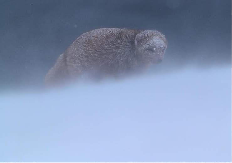 הצללית שמתרחקת – תמונה שמזכירה עד כמה אנחנו רק אורחים לרגע במקום הזה