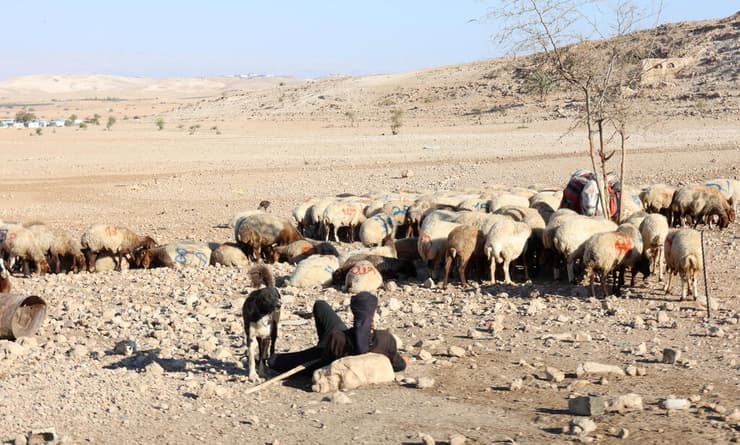 תושבי כפר מערג'ת בבקעת הירדן גורשו על ידי מתנחלים