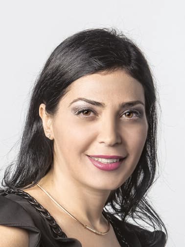 ורד צרפתי זבולון