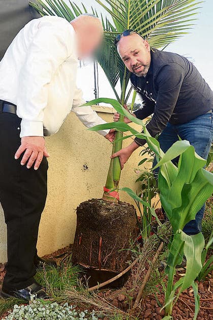 מימין: מושיקו מוסקוביץ' ואל"ם מ', אביו של דקל, נוטעים עץ לזכרו (צילום: מאיר אבן חיים) yk14436380