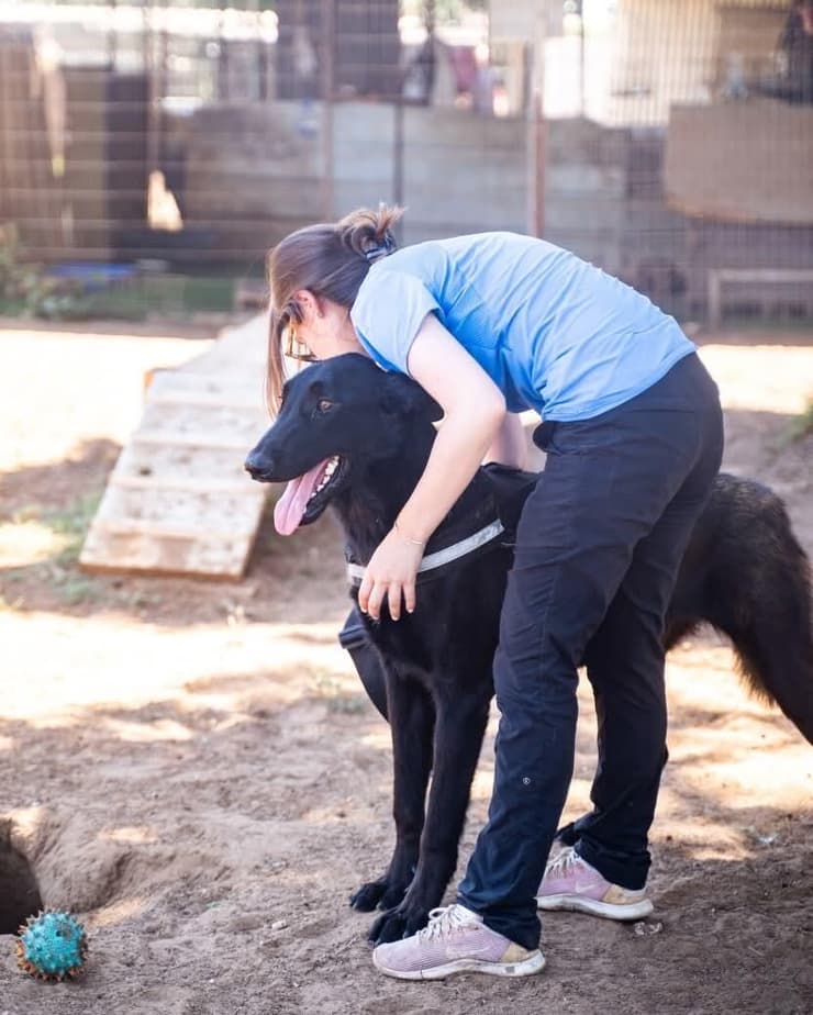 גבע (צילום: גל קפיטולניק) גבע