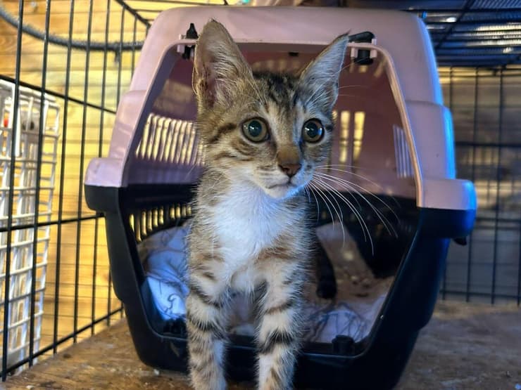 מרקו (צילום: להתחיל מחדש) מרקו