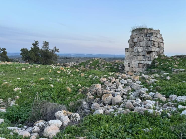 תל צפית (צילום: 26Yuval2/Shutterstock) תל צפית