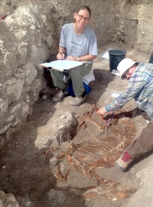 ד"ר אליזבת ארנולד (משמאל) בעת חשיפת אחד משרידי האתונות בתל צפית (צילום: מתוך כתב העת PLOS One) ד"ר אליזבת ארנולד (משמאל) בעת חשיפת אחד משרידי האתונות בתל צפית